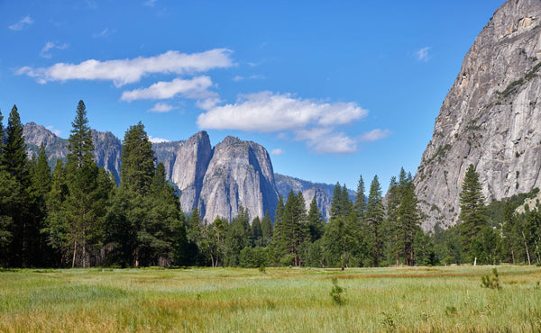 National Park Collection