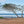 Load image into Gallery viewer, Tree On Punalau Beach, A Maui Hawaii Fine Art Photography Print, Art For Gratitude