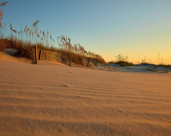 Palmetto Dunes Beach at Sunrise