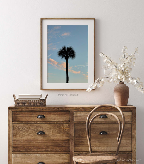 Palmetto Tree at Sunset