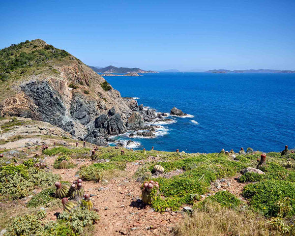 Ram Head Peak On Ram's Head Trail, St. John USVI Fine Art Photography Print
