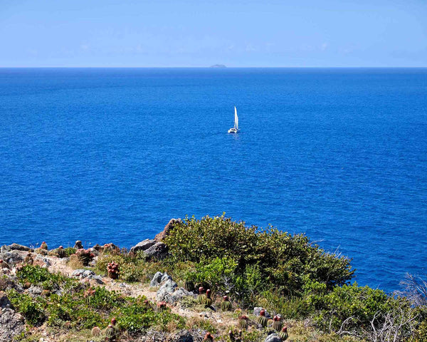 Lone Sailboat On Caribbean Off Ram Head Peak, St. John USVI Fine Art Photography Print