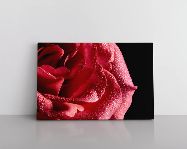 (Color) Custom Canvas Print Any Photograph In Shop, on 1.5 inch Gallery Wrapped Canvas, Variety Of Sizes Available