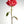 Load image into Gallery viewer, Red Rose, Flower Fine Art Photography Print