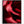 Load image into Gallery viewer, Red Rose Macro, Flower Fine Art Photography Print