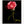 Load image into Gallery viewer, Red Rose Macro, Flower Fine Art Photography Print