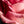 Load image into Gallery viewer, Pink Rose Macro, Flower Fine Art Photography Print
