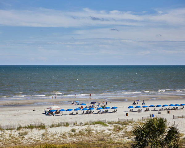 Palmetto Dunes Beach
