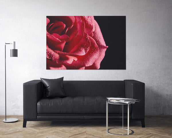 (Color) Custom Canvas Print Any Photograph In Shop, on 1.5 inch Gallery Wrapped Canvas, Variety Of Sizes Available