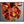 Load image into Gallery viewer, Red Boat Orchid Macro, Flower Fine Art Photography Print