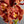 Load image into Gallery viewer, Red Boat Orchid Macro, Flower Fine Art Photography Print