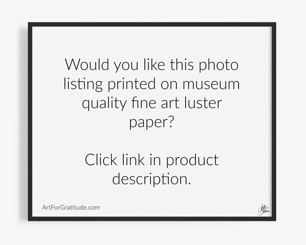 Grateful Quote In Caribbean Ocean, St. John USVI Fine Art Photography Print