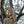 Load image into Gallery viewer, Bonaventure Cemetery Statue Of Woman, Savannah Georgia Fine Art Canvas Print