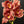 Load image into Gallery viewer, Red Boat Orchid Macro, Flower Fine Art Photography Print