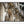Load image into Gallery viewer, Palais Garnier (Paris Opera House), Paris Fine Art Photography Print