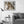 Load image into Gallery viewer, Palais Garnier (Paris Opera House), Paris Fine Art Photography Print