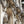 Load image into Gallery viewer, Palais Garnier (Paris Opera House), Paris Fine Art Photography Print