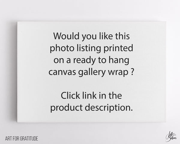 Harbour Town Pier Dock Sign