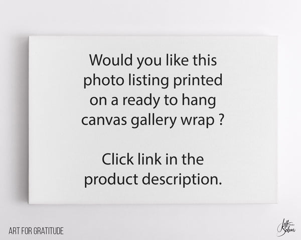 Haleakalā Summit At Sunrise, Haleakalā National Park Fine Art Photography Print, In Maui Hawaii, Pā Kaʻoao Trail Overlook