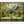 Load image into Gallery viewer, Garfield Park Conservatory Waterfall, Chicago Illinois Fine Art Photography Print