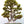 Load image into Gallery viewer, Willow Leaf Fig, Bonsai Tree Fine Art Photography Print