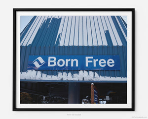This fine art photography print shows winter in Vail, Colorado at Vail Ski Resort. The sign that rests on top of the blue Born Free ski lift is pictured, located near Lionshead Village and Vail Square.