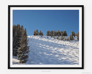This fine art photography print shows winter in Vail, Colorado at Vail Ski Resort. From the Wildwood Express ski lift, there are stunning views of skiers going down expert black diamond ski runs like Look Ma and Challenge. The scene is framed by moguls, a blue sky, and pine trees amongst the Rocky Mountains.