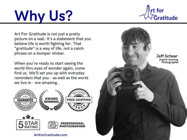 Lionshead Village Sign to Eagle Bahn Gondola & Gore Valley Trail