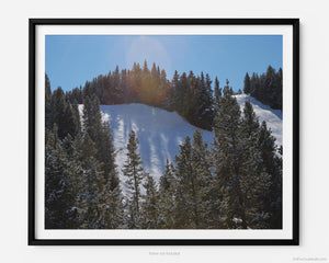 This fine art photography print shows winter in Vail, Colorado at Vail Ski Resort. As you look off the Wildwood Express ski lift, you take in stunning views of the Look Ma black diamond skin run. The scene is framed by blue sky and pine trees amongst the Rocky Mountains.