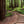 Load image into Gallery viewer, Muir Woods Hiking Trail Staircase, Marin County California Fine Art Photography Print