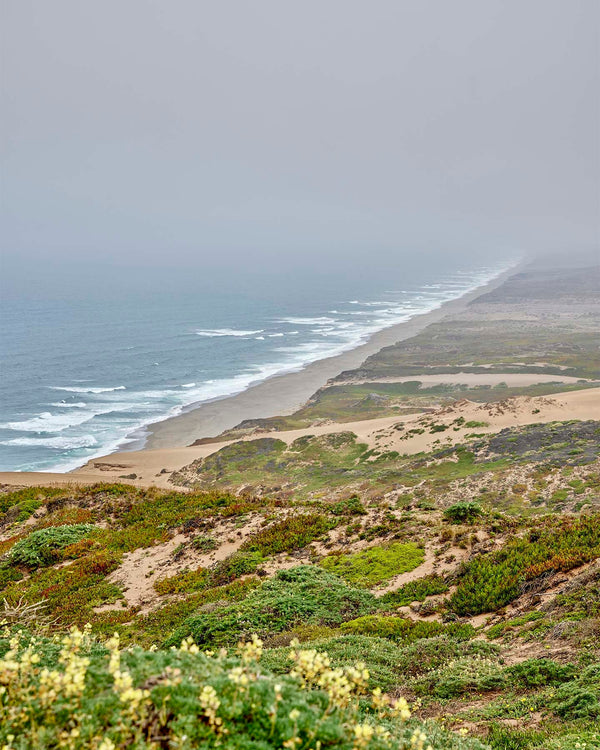 Point Reyes South Beach Overlook