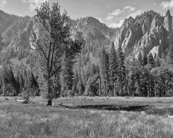 Cathedral Spires Over Meadow, Yosemite Black And White Fine Art Photography Print