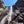 Load image into Gallery viewer, Lower Yosemite Falls, Yosemite Fine Art Photography Print