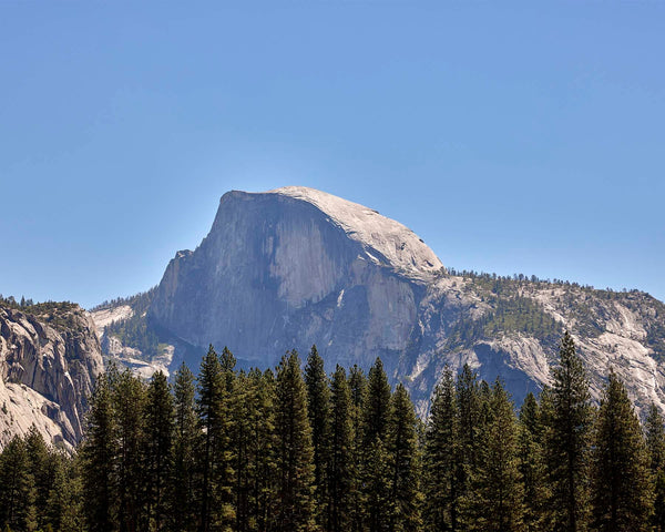 Half Dome Over Pines, Yosemite Fine Art Photography Print