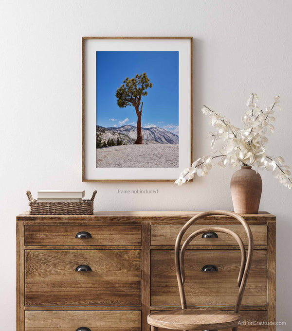 Olmsted Point Juniper Tree, Yosemite Fine Art Photography Print