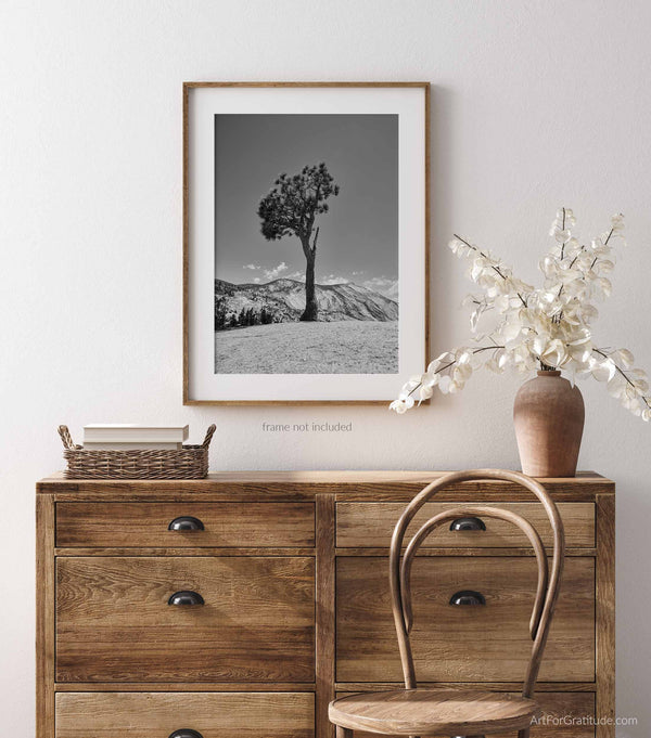 Olmsted Point Juniper Tree, Yosemite Black And White Fine Art Photography Print