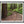 Load image into Gallery viewer, Muir Woods Hiking Trail Staircase, Marin County California Fine Art Photography Print