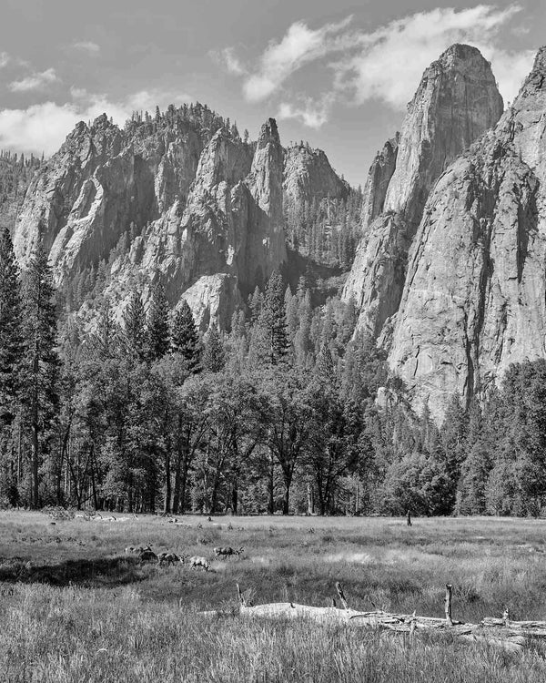 Cathedral Spires & Cathedral Rock, Yosemite Black And White Fine Art Photography Print