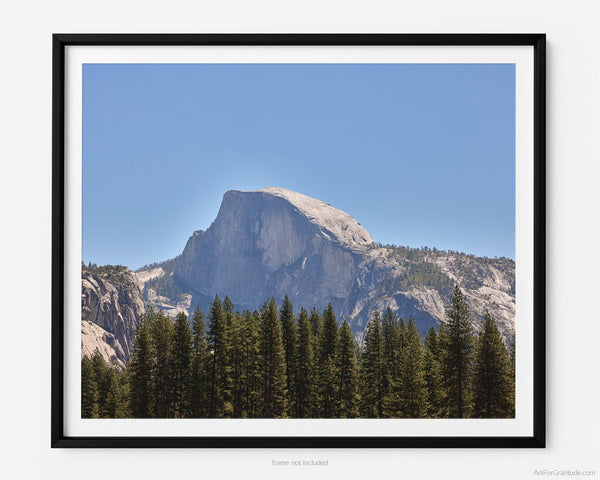 Half Dome Over Pines, Yosemite Fine Art Photography Print