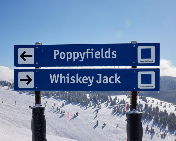 Poppyfields & Whiskey Jack Ski Run Signs