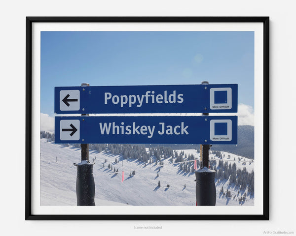 Poppyfields & Whiskey Jack Ski Run Signs
