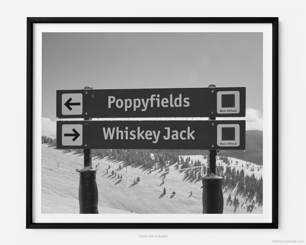 Poppyfields & Whiskey Jack Ski Run Signs