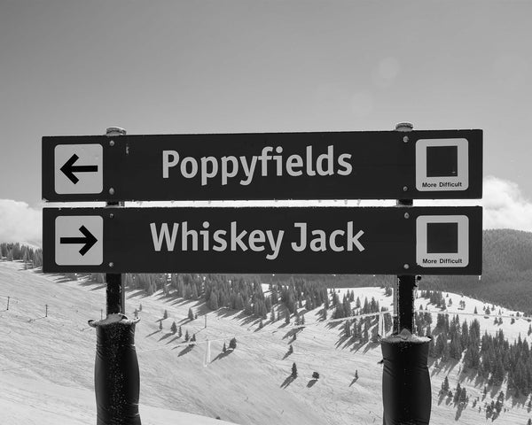 Poppyfields & Whiskey Jack Ski Run Signs