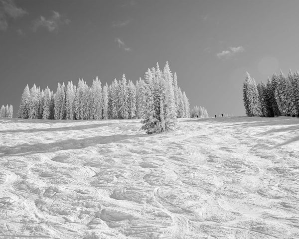 Wild Card Black Diamond Ski Run