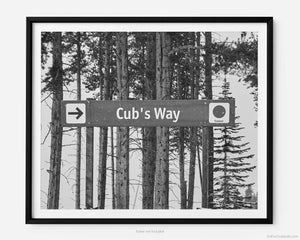This black and white fine art photography print shows winter in Vail, Colorado at Vail Ski Resort. A directional sign is found erected and reads “Cub’s Way” as a guide for the beginner (green – and easiest) ski trail, with the skinny trunks of pine trees in the background.