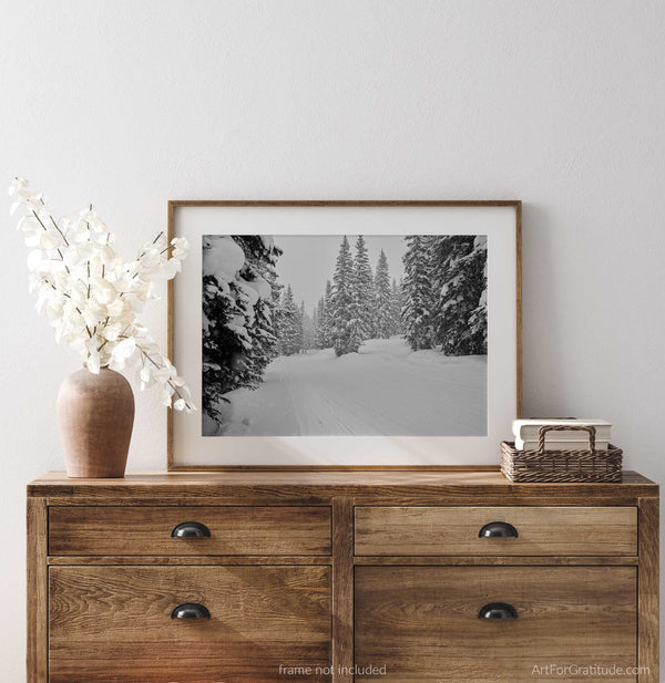 Timberline Catwalk Trail