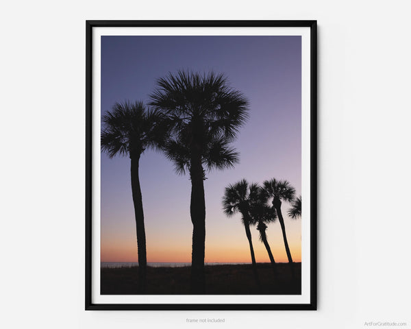 Palmetto Trees at Sunset