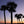 Load image into Gallery viewer, Palmetto Trees at Sunset