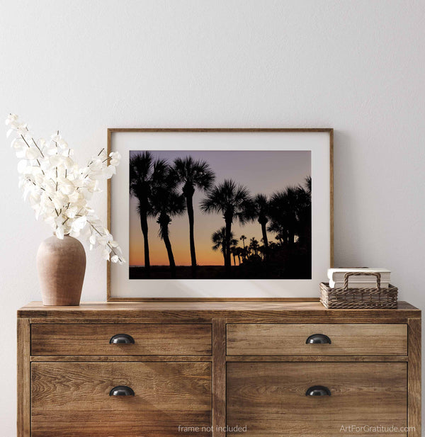 Palmetto Trees at Sunset