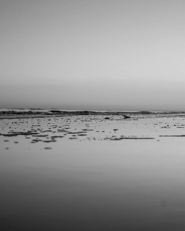 Calm Ocean Sunset at Palmetto Dunes